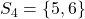 S_{4}=\left\lbrace 5,6 \right\rbrace