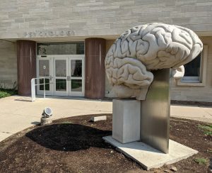 Large sculpture of an anatomically correct human brain in front of the Indiana University Psychology building.