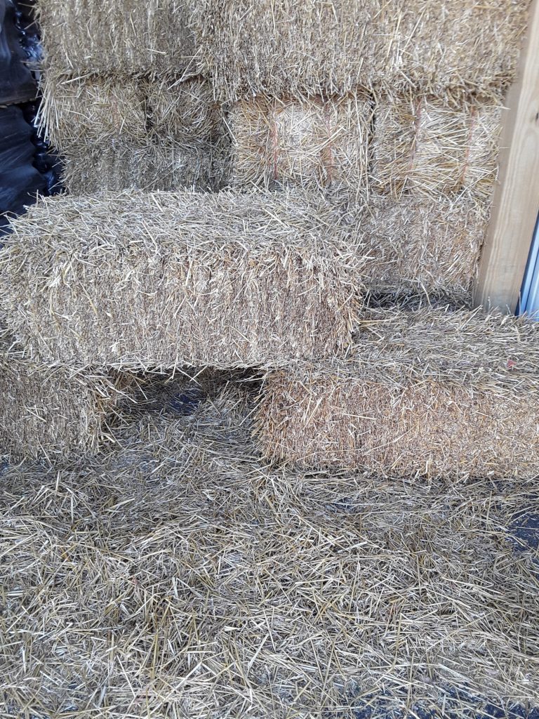 Straw Bale Fort – Traveling Farmer