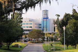 A hospital at the end of a tree-lined avenue.