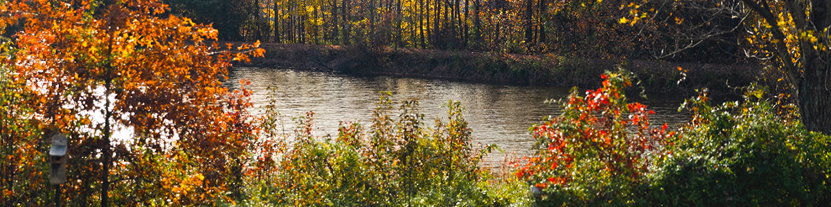 IUS Lake in the fall