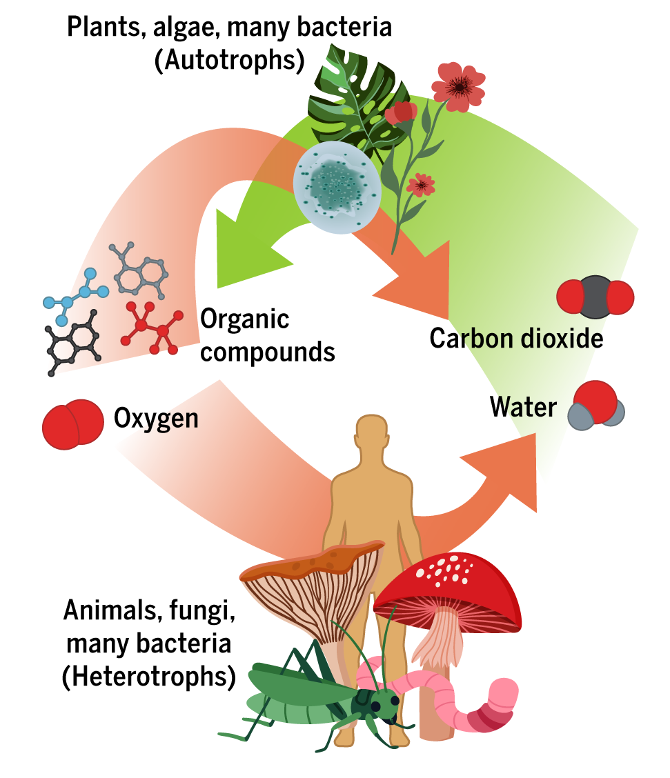 Chapter 1. Earth’s Climate System – Climate Change Science