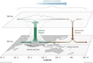 Diagram showing the surface and upper-atmosphere structure of the MJO for a period when the enhanced convective phase (thunderstorm cloud) is centered across the Indian Ocean and the suppressed convective phase is centered over the west-central Pacific Ocean.