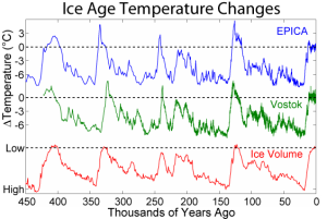 This diagram shows the changes in ice temperature during the last several glacial-interglacial cycles and comparison to changes in global ice volume. The local temperature changes are from two sites in Antarctica and are derived from deuterium isotopic measurements. The bottom plot shows global ice volume derived from δ18O measurements on marine microfossils.