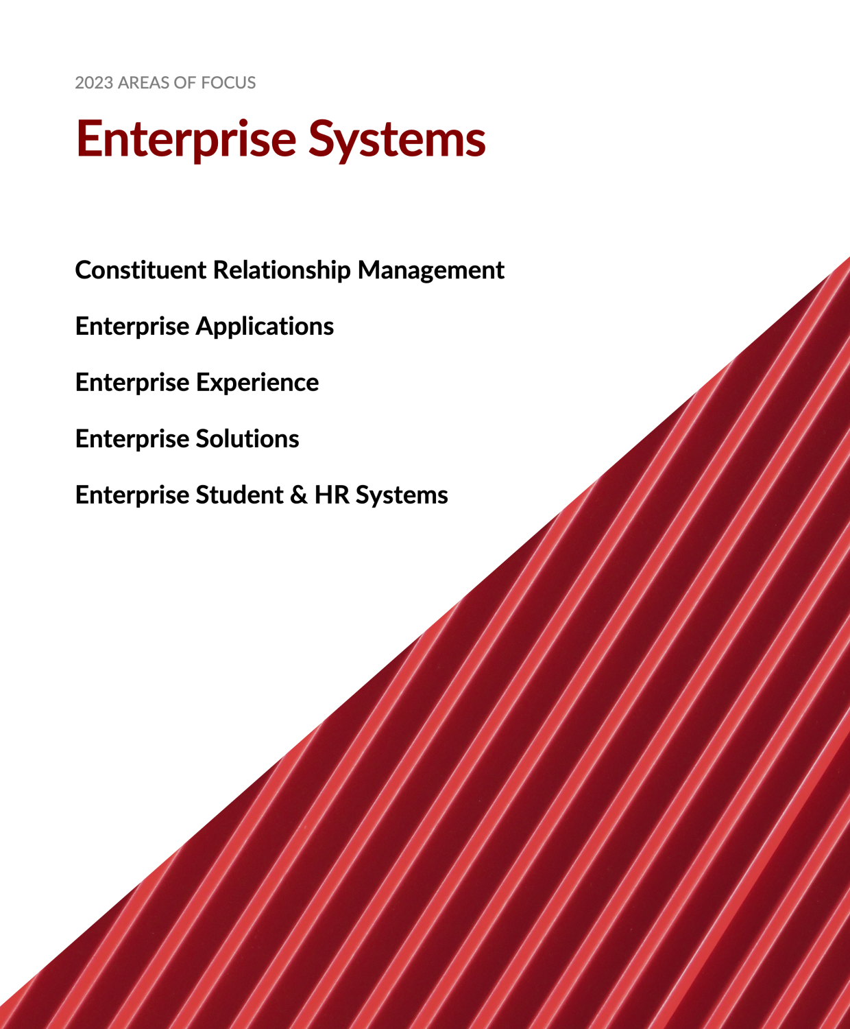 Cover image for 2023 Enterprise Systems Areas of Focus