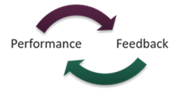 arrows showing the performance and feedback cycle.