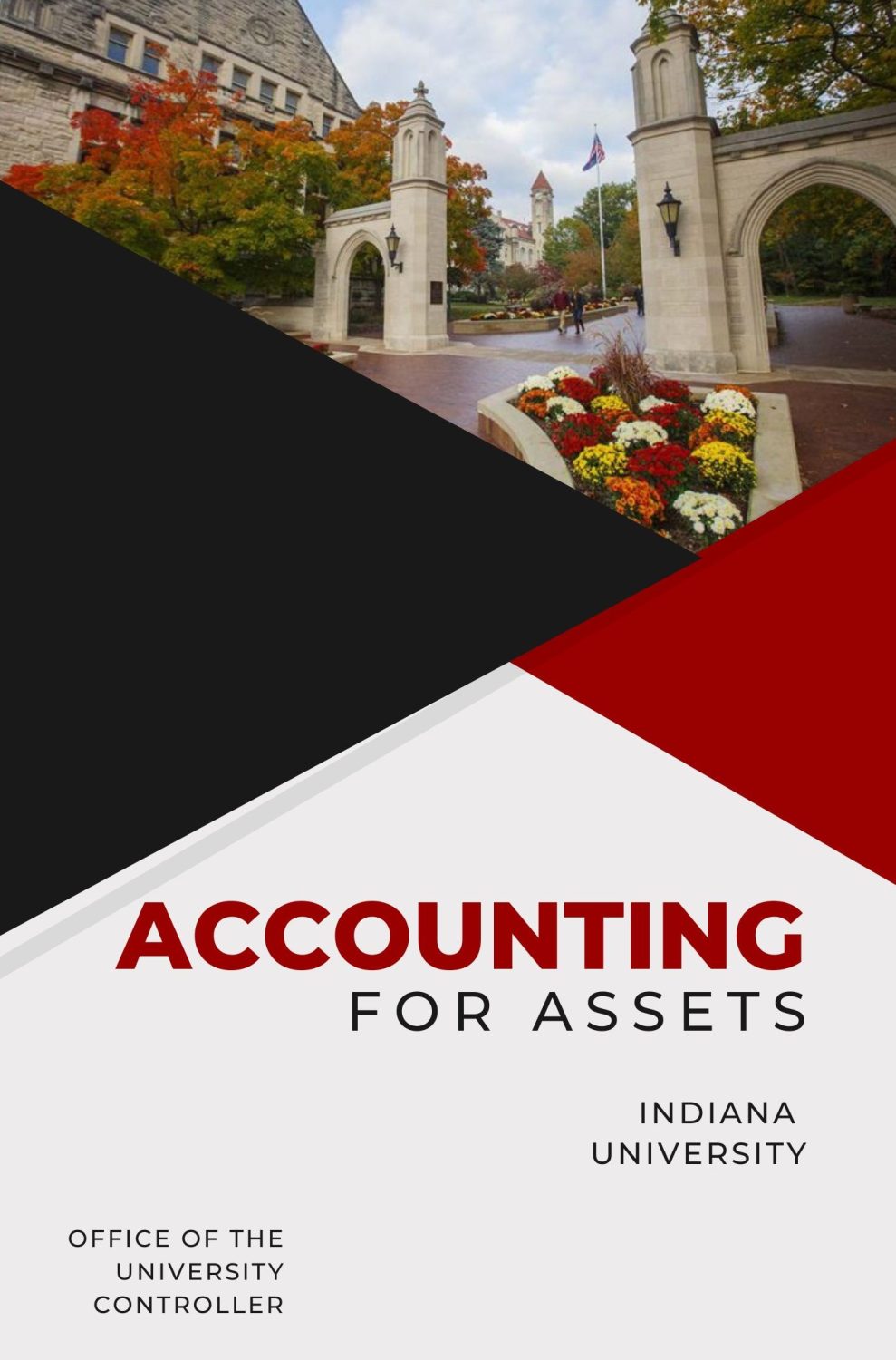 Cover image for Accounting for Assets