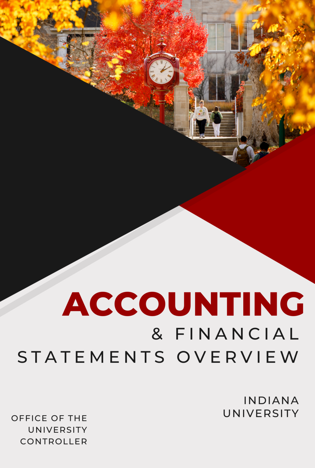 Cover image for Accounting and Financial Statements Overview