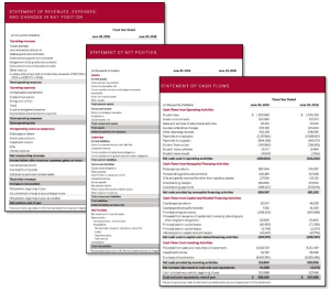 Copy of condensed Indiana University financial statements.
