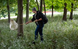 IU Southeast student searching for fauna on campus.