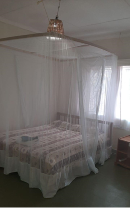 A bedroom with one double bed covered by a mosquito net, with a side table to the right