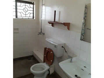 A bathroom with a toilet, sink, and shower with no tub