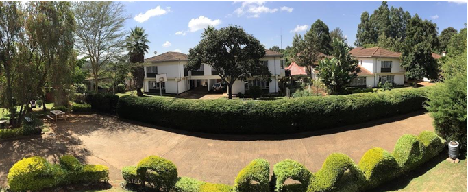 Three houses side by side with hedges, trees and a sidewalk in front of them