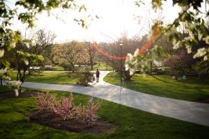 Photo of a sunset in the arboretum at IU Bloomington.
