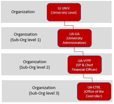 Illustration of the organization levels at IU