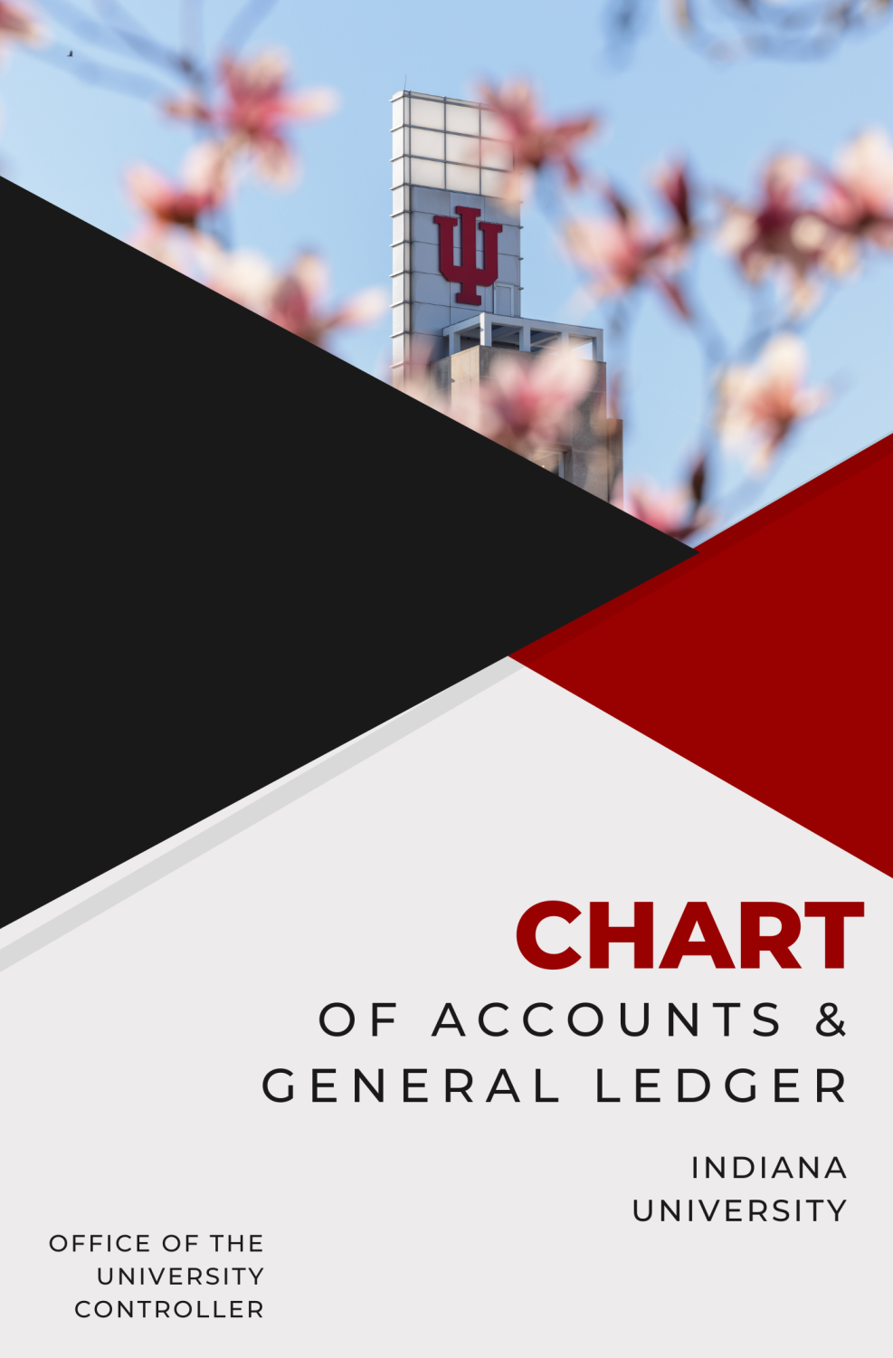Cover image for Chart of Accounts and General Ledger