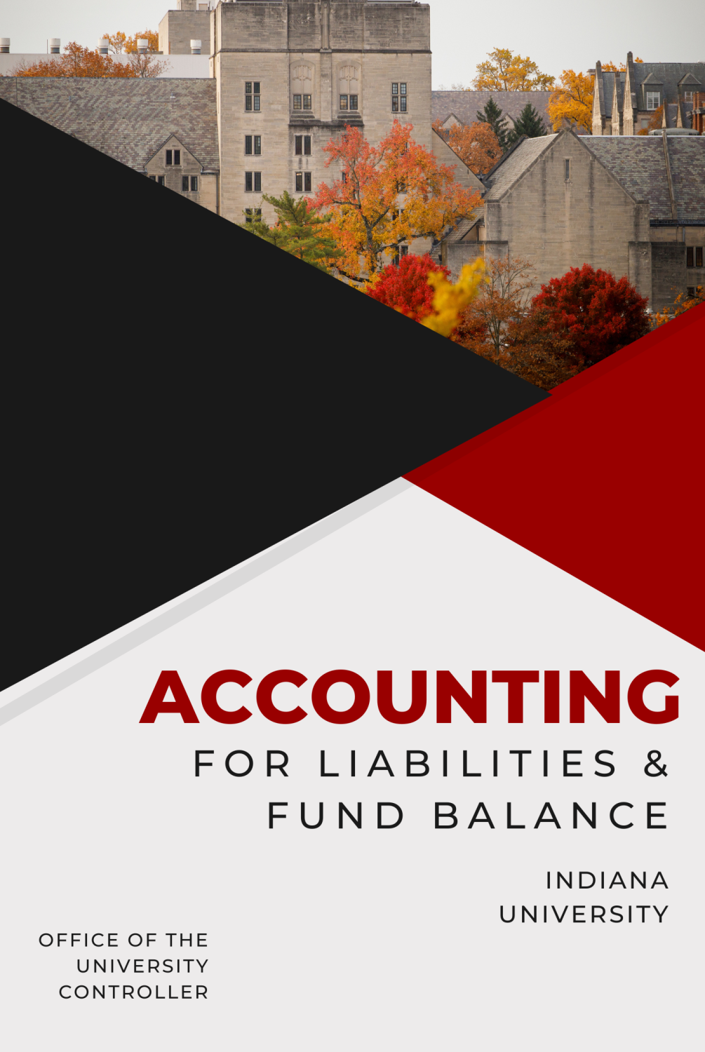 Cover image for Accounting for Liabilities and Fund Balance