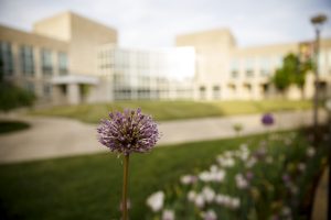 Flowers bloom outside of the student center at IU Kokomo.
