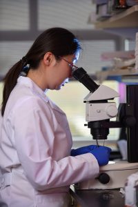 Researcher looking into microscope