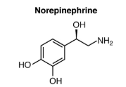 Norepinephrine