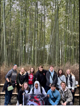 A photo of a group of people posing in front of a bamboo forest.