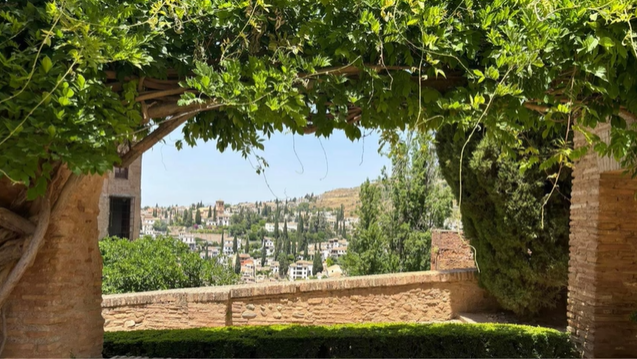 A photo of a garden and wall.