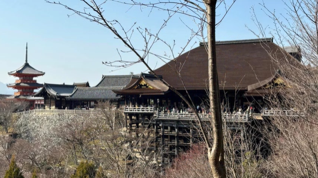 A photo of a building and garden.