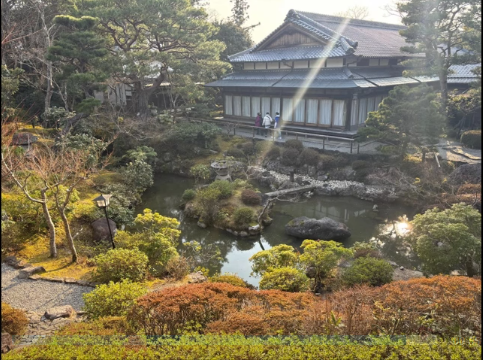 A photo of a garden with a building.