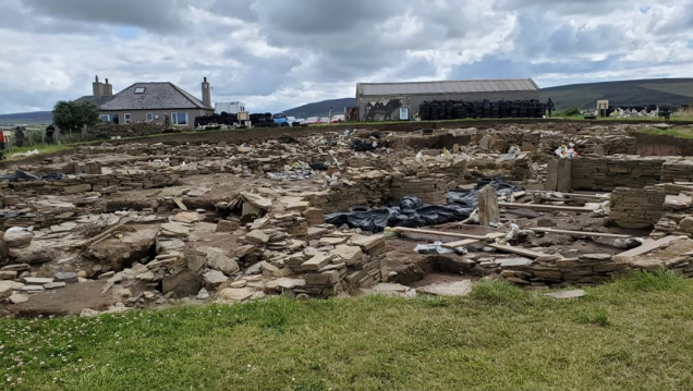 An up close photo of a live archaeology dig.