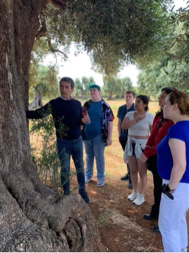 A photo of a group of people listening to a person speak in front of an olive tree.