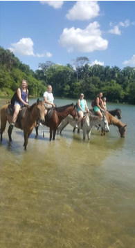 A photo of five people on horseback in a river.