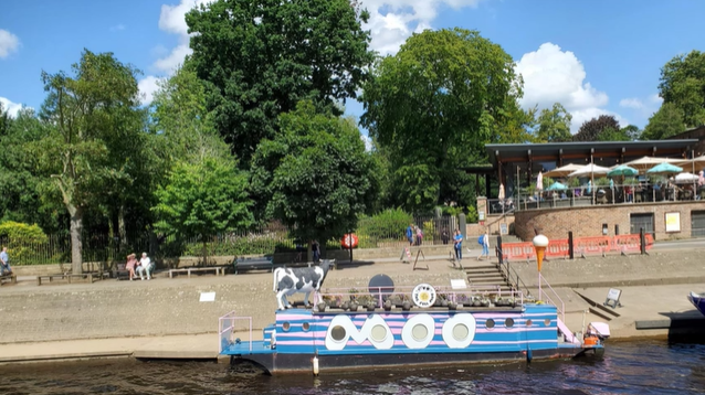 A photo of a cow themed boat which reads "Moo" on the side.