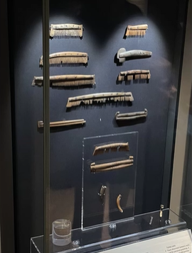 A photo of ancient Viking artifacts.