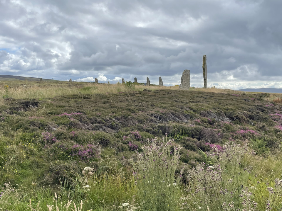 A photo of ancient standing stones positioned in a circle.