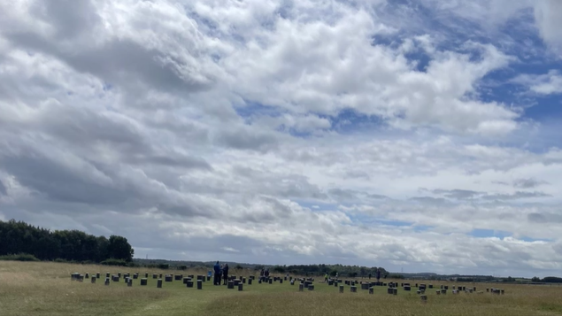 A photo of woodhenge.