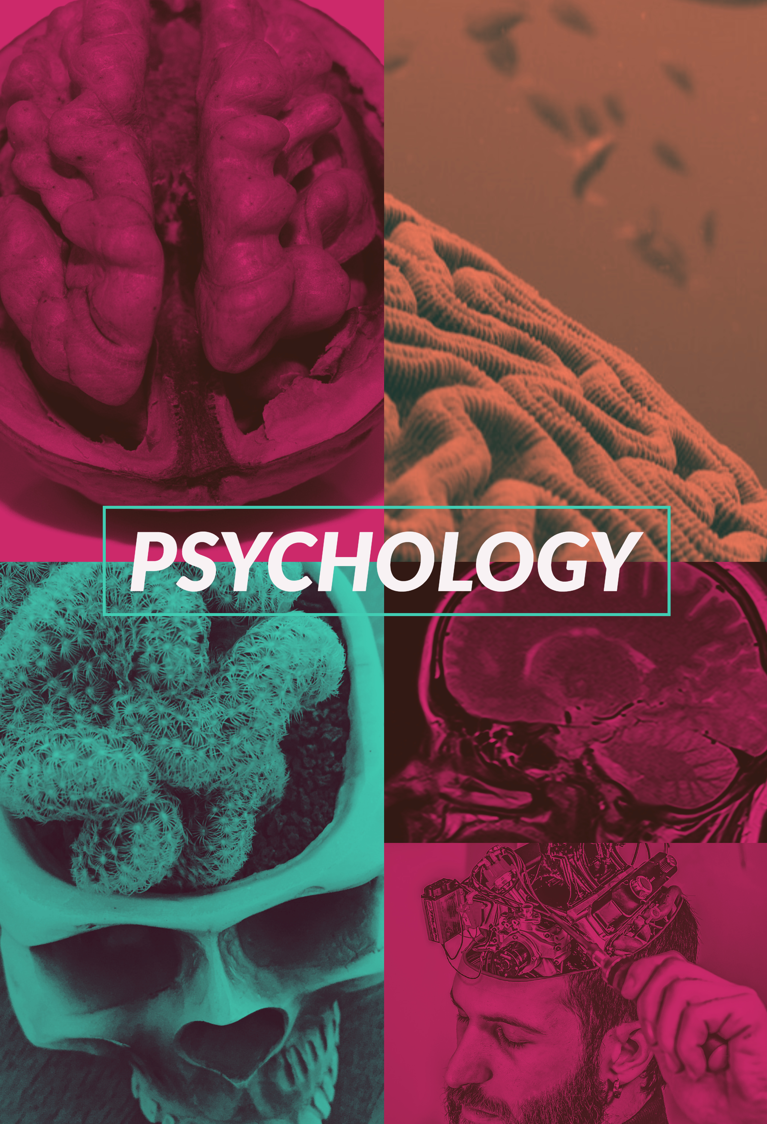 Cover image for Psychology (eText chapter demo)
