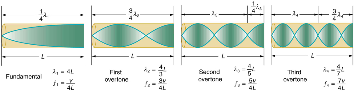 There are four tubes, each of which is closed at one end. Each tube has resonance waves reflected at the closed end. In the first tube, marked Fundamental, the wavelength is long and only one-fourth of the wave is inside the tube, with the maximum air displacement at the open end. In the second tube, marked First overtone, the wavelength is slightly shorter and three-fourths of the wave is inside the tube, with the maximum air displacement at the open end. In the third tube, marked Second overtone, the wavelength is still shorter and one and one-fourth of the wave is inside the tube, with the maximum air displacement at the open end. In the fourth tube, marked Third overtone, the wavelength is shorter than the others, and one and three-fourths of the wave is inside the tube, with the maximum air displacement at the open end.