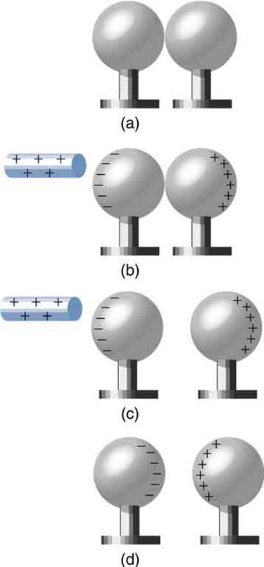 In part a, a pair of neutral metal spheres are in contact. In part b, a rod with positive signs is close to one surface of the sphere and the negative signs are shown on this surface toward the rod and positive signs are shown on the outermost face of the other sphere. In part c, the rod and the spheres are not in contact. The outermost surface of one sphere has negative signs and the outermost surface of another sphere has positive signs. In part d, the glass rod is not shown. The inner surfaces of the metallic spheres have opposite charges. One sphere has negative signs and the other has positive signs facing each other.