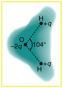 A schematic representation of the outer electron cloud of a neutral water molecule is shown. Three atoms are placed on the vertices of a triangle. The hydrogen atom has positive q charge and the oxygen atom has minus two q charge, and the angle between the line joining each hydrogen atom with the oxygen atom is one hundred and four degrees. The cloud density is shown more at the oxygen atom.