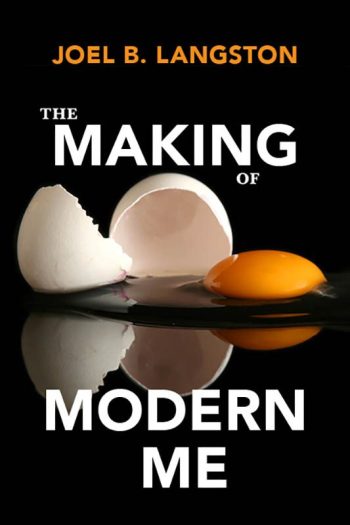 Cover image for The Making of Modern Me