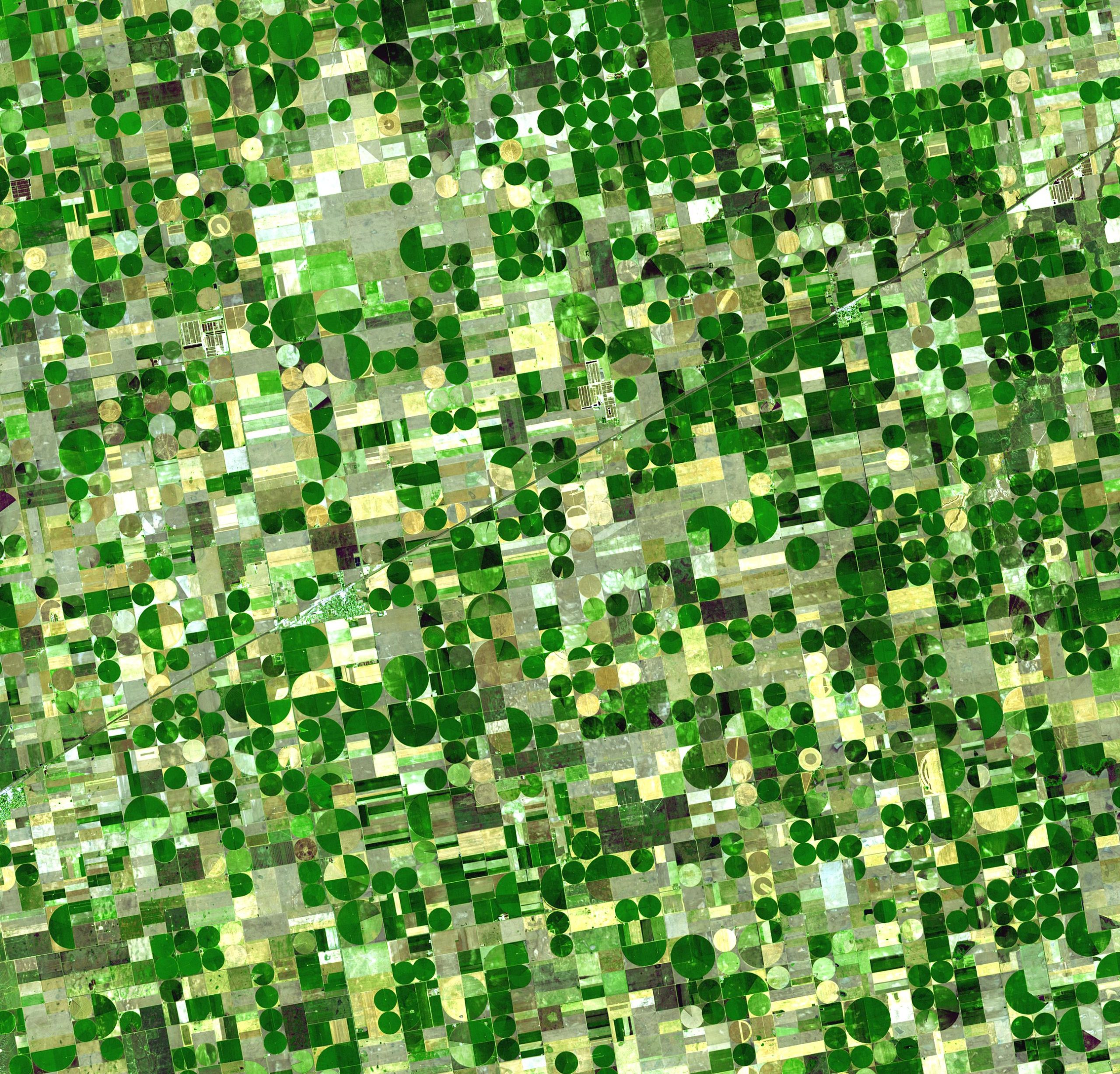 An image of an apparently flat piece of cropland with well over half of the ground covered in green circles set very close together. Some circles are half or one quarter green. Some areas, probably less than 110% of the image, show fields in strips - some yellow, some light green and some dark green.