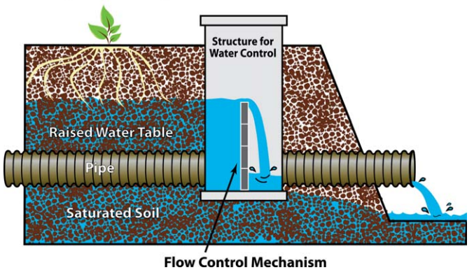 Agricultural drainage pipe draining a field and discharging water into a ditch. Diagram of a cross-section of a field into the soil, showing a plant, plant roots in the soil, and below the roots, a pipe that runs sideways into a ditch dug into the field. An inset shows a control structure that can be put on the drainage pipe that controls the water level in the field by preventing water above a certain level from entering the pipe.