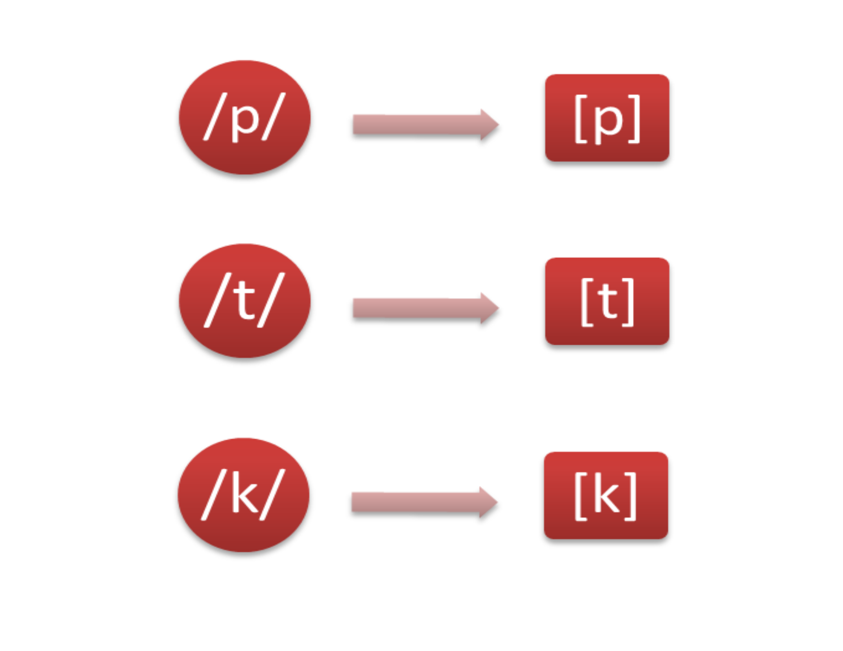 Oclusivas Sordas / P T K / – Analizando Los Fonos Del Español