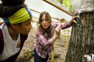 Image of IU researchers using probes to study water flow through trees.