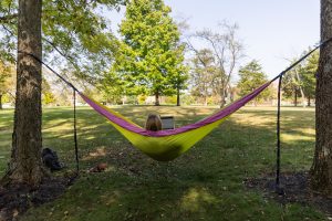 Student relaxes in a hammock at IU East.