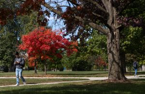 Student walks to class on a fall day at IU Northwest.