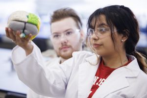 Indiana University Indianapolis students analyzing a model of the brain.