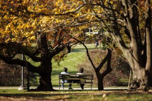 Students enjoying a fall day in the Cox Arboretum at IU Bloomington.