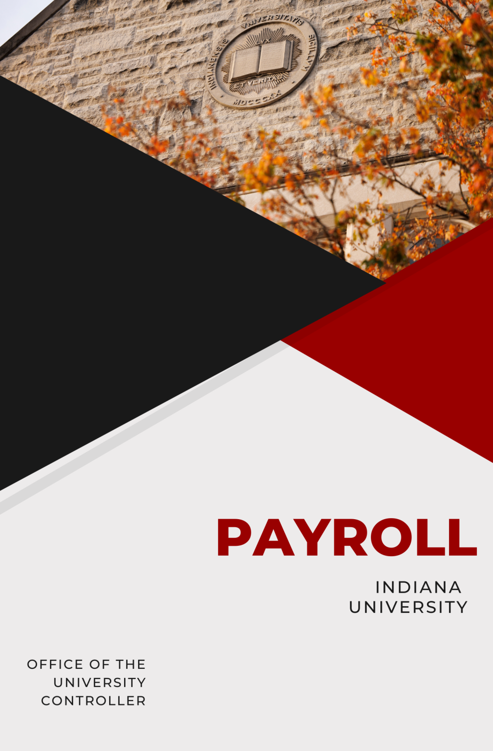 Cover image for Payroll