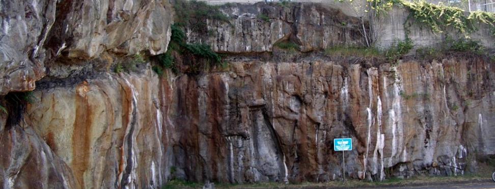 Cretaceous Nanaimo Group sandstone